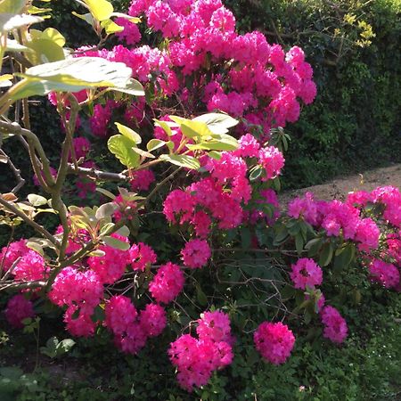 Cléry-Saint-André Le Clos Tilia B&B 외부 사진