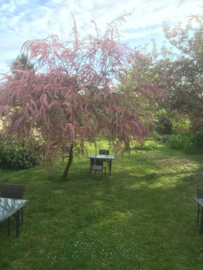 Cléry-Saint-André Le Clos Tilia B&B 외부 사진
